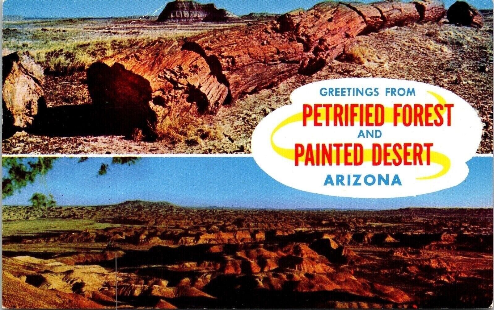 Greetings From Petrified Forest Painted Desert Arizona AZ Postcard PM Cancel WOB