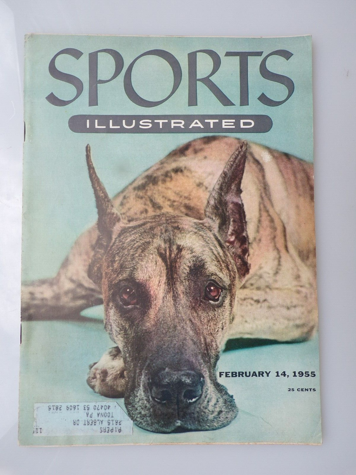 1955 GREAT DANE SPORTS ILLUSTRATED WESTMINSTER DOG SHOW BOOK