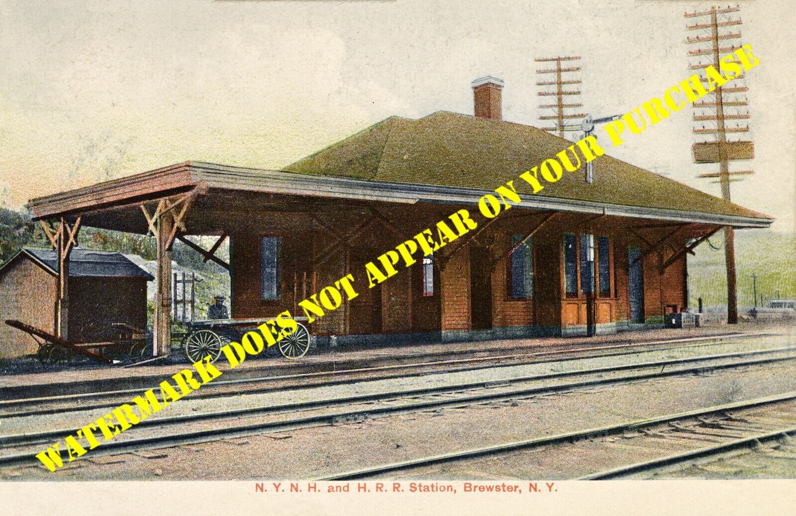 Central New England Railway Brewster NY station REPRODUCTION from postcard