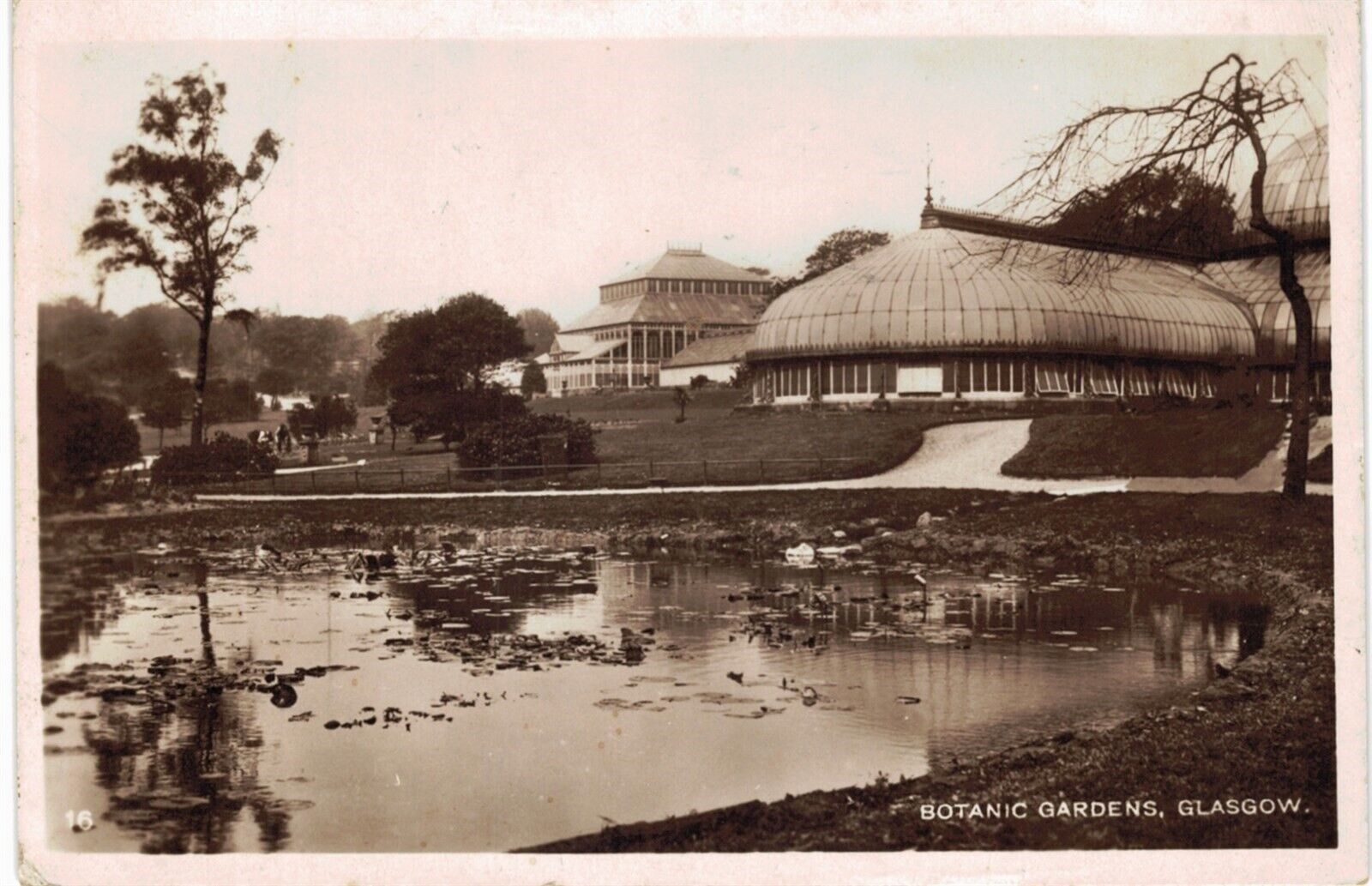 UK RPPC  Glasgow Botanic Gardens 1929 