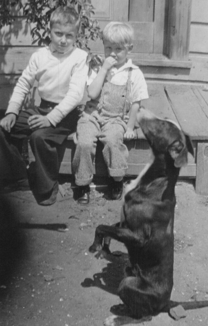 3Z Photograph Portrait Boys Brothers Pet Dog Sitting Up Doing Trick 1940-50\'s 