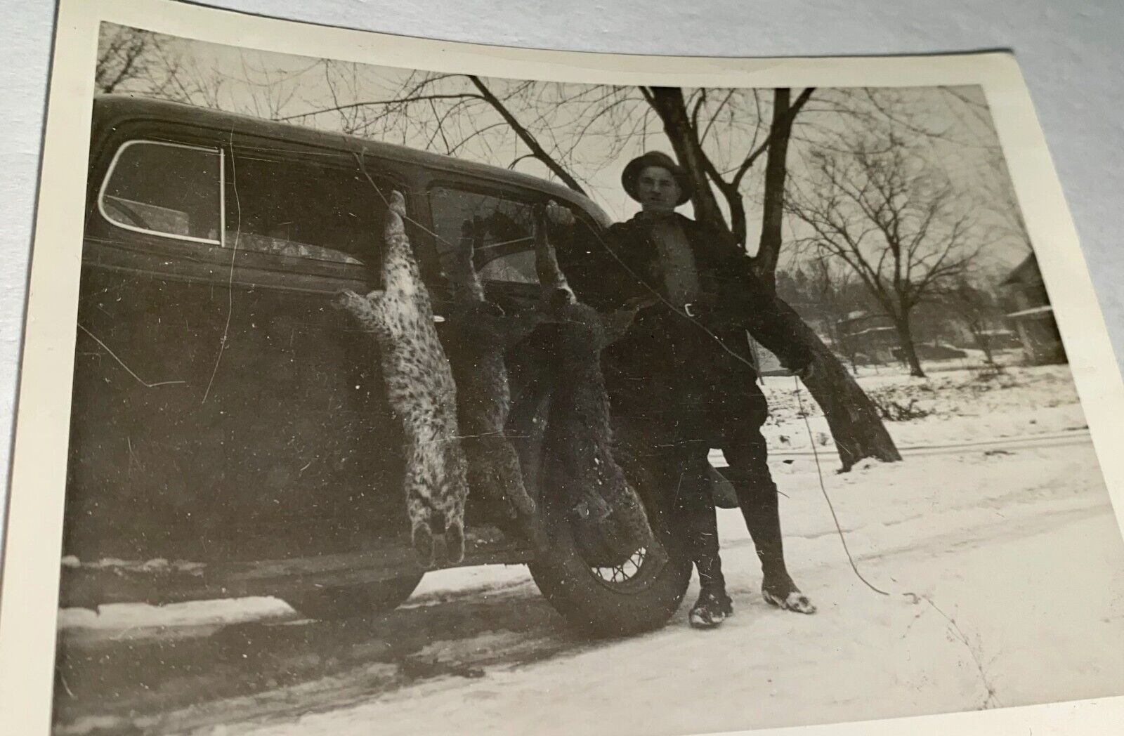 Rare Antique WWII Era American Winter Hunter, Three Bobcats Snapshot Photo 1944
