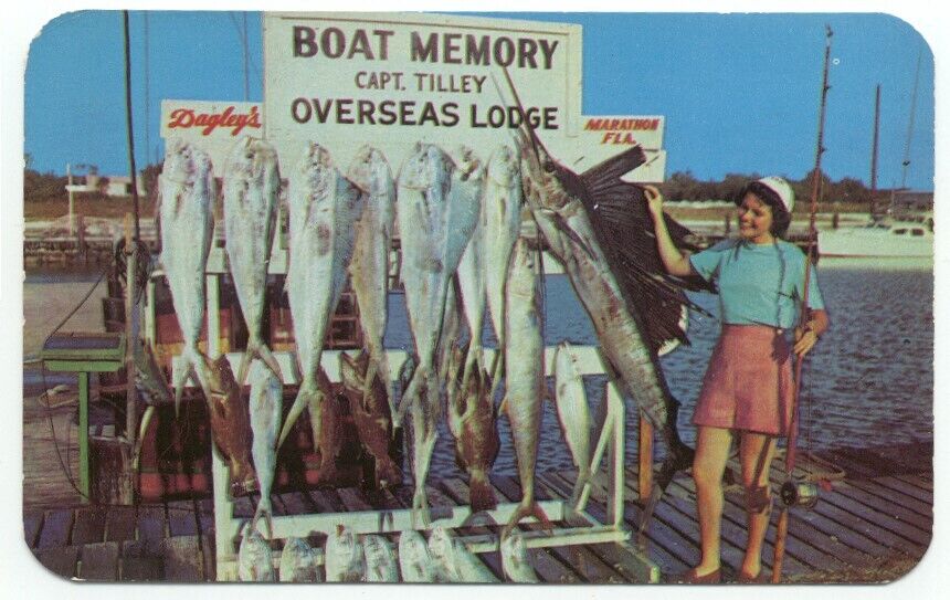 Fishing Florida Keys Vintage Postcard