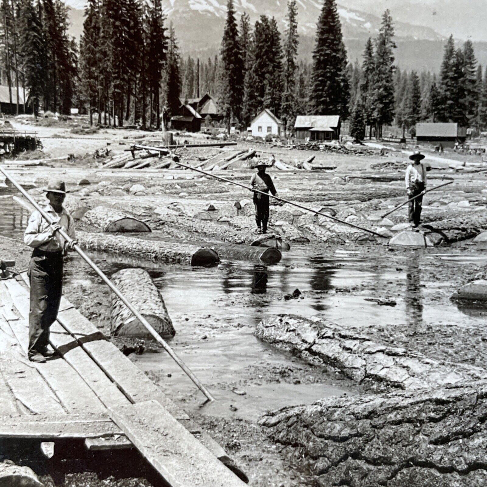 Antique 1910s Log Drivers Near Redding California Stereoview Photo Card P3201