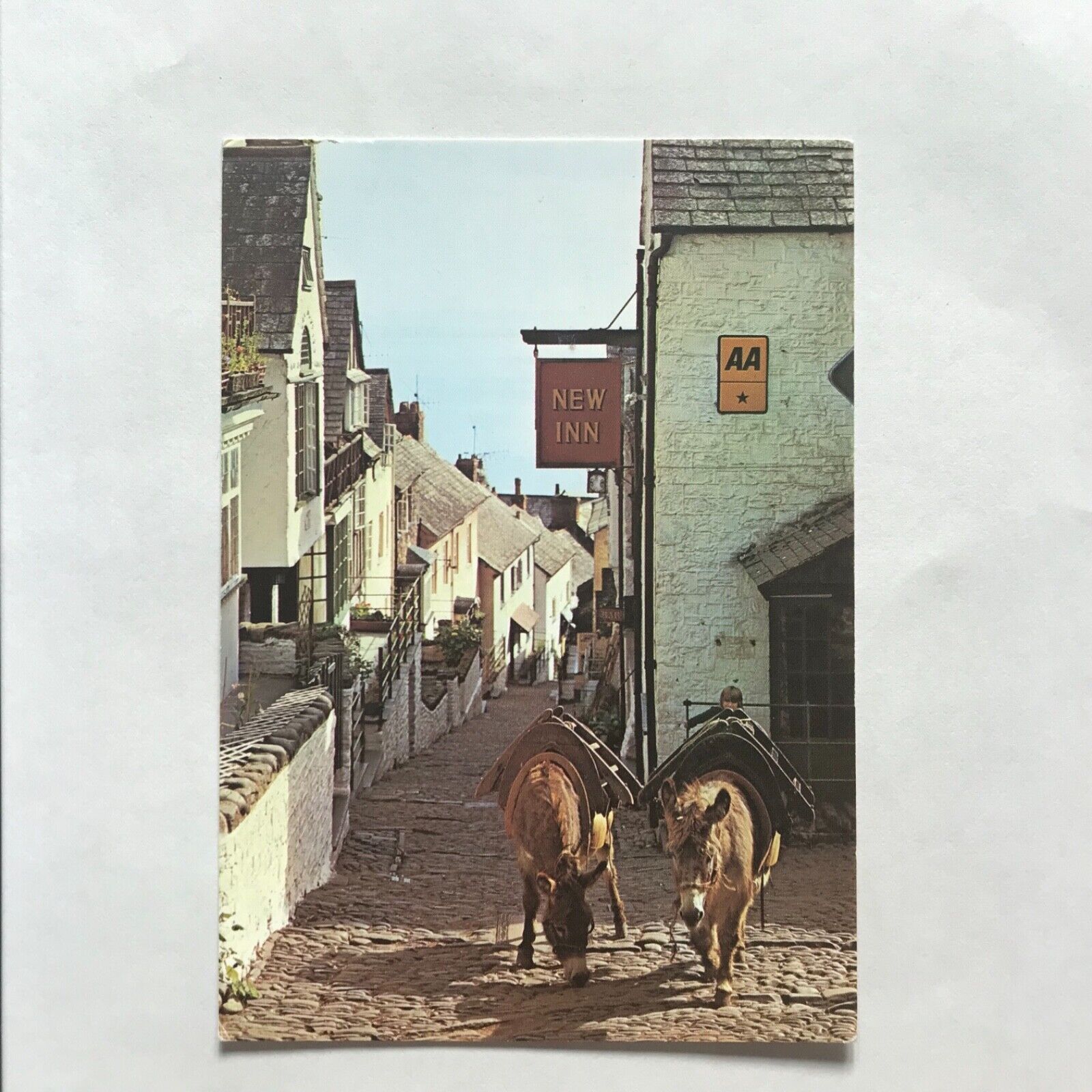 Postcard Down-A-Long Clovelly Village England 