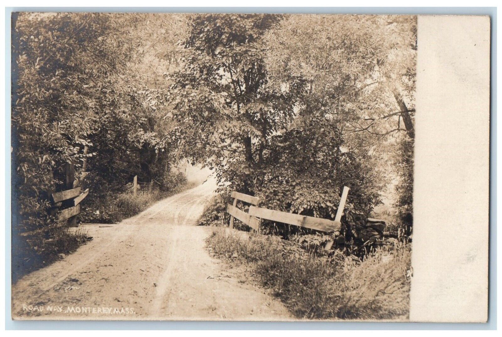 c1910\'s Roadway Forest Monterey Massachusetts MA Photo Unposted Postcard