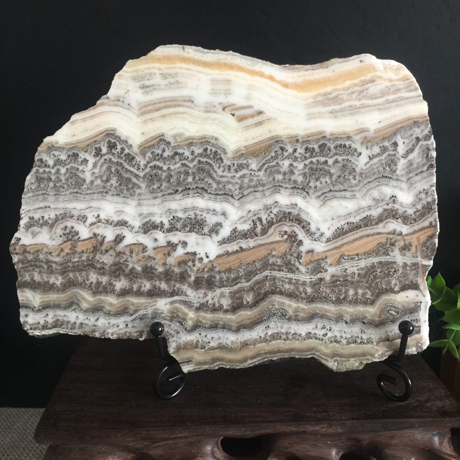522g Natural Bonsai Calcite Water Grass Picture Rock Rare Stunning Viewing 06