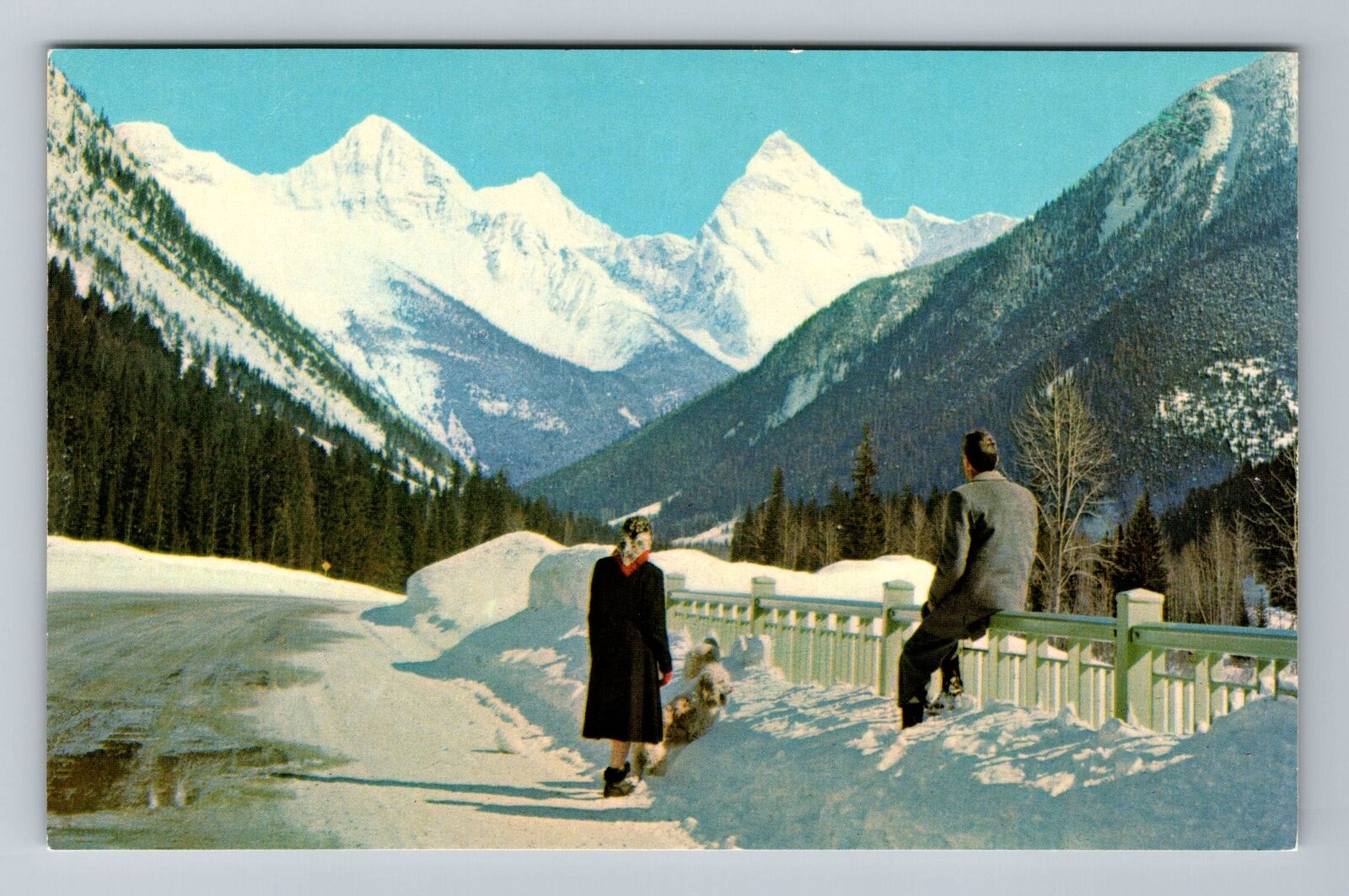 Rogers Pass-British Columbia, Rogers Pass Hwy, Mt Sir Donald, Vintage Postcard