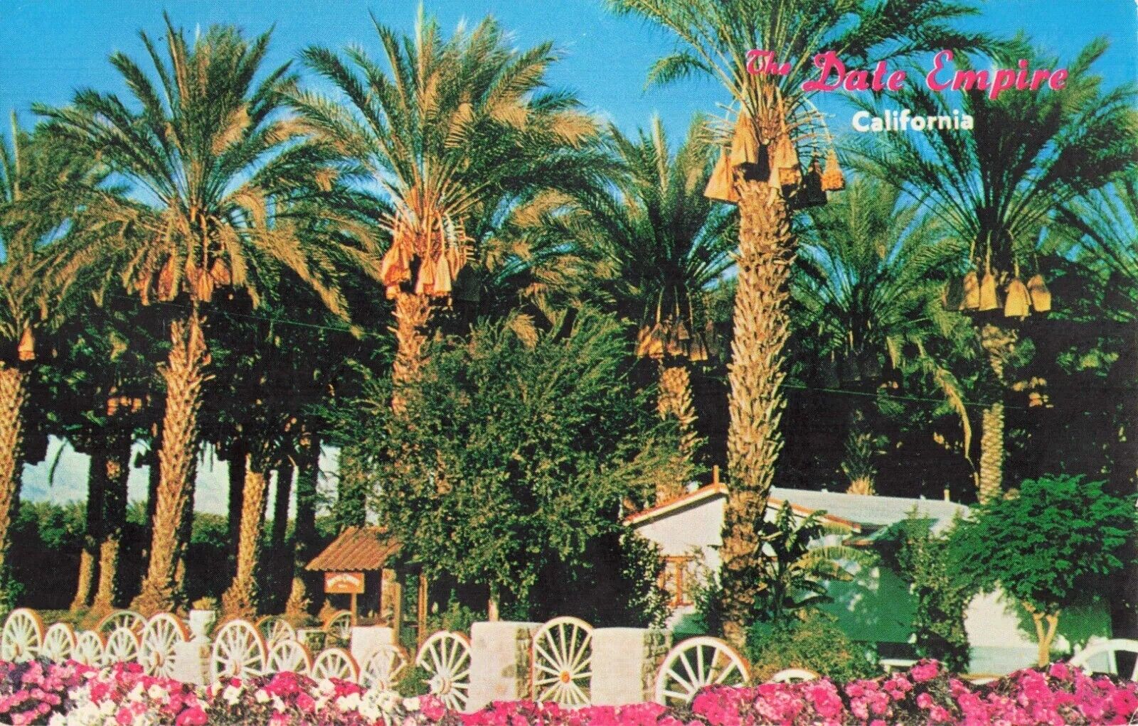 Date Empire, Coachella Valley Date Grove - Indio California CA, PM 1972 Postcard