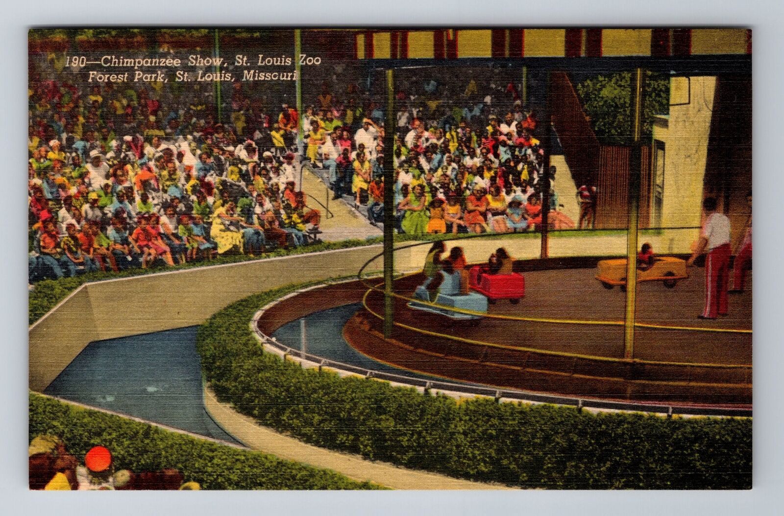 St Louis MO-Missouri, Chimpanzee Show, St Louis Zoo, Antique Vintage Postcard