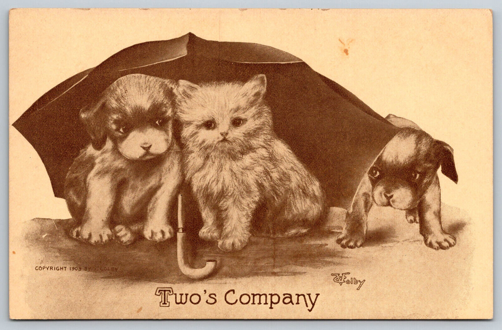 Postcard Two\'s Company Kitten and Puppie Artist Signed V. Colby c1909 C14