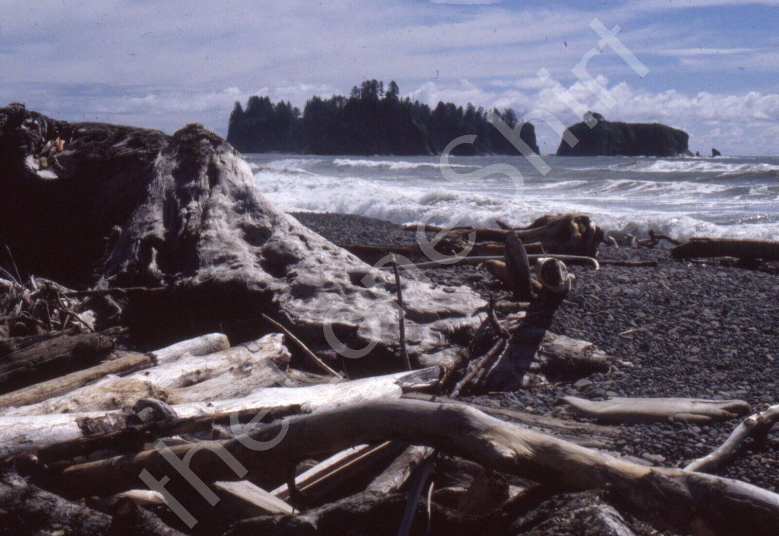 1997 Rialto Beach Shoreline Ocean Washed Up Trees Washington 35mm Film Slide