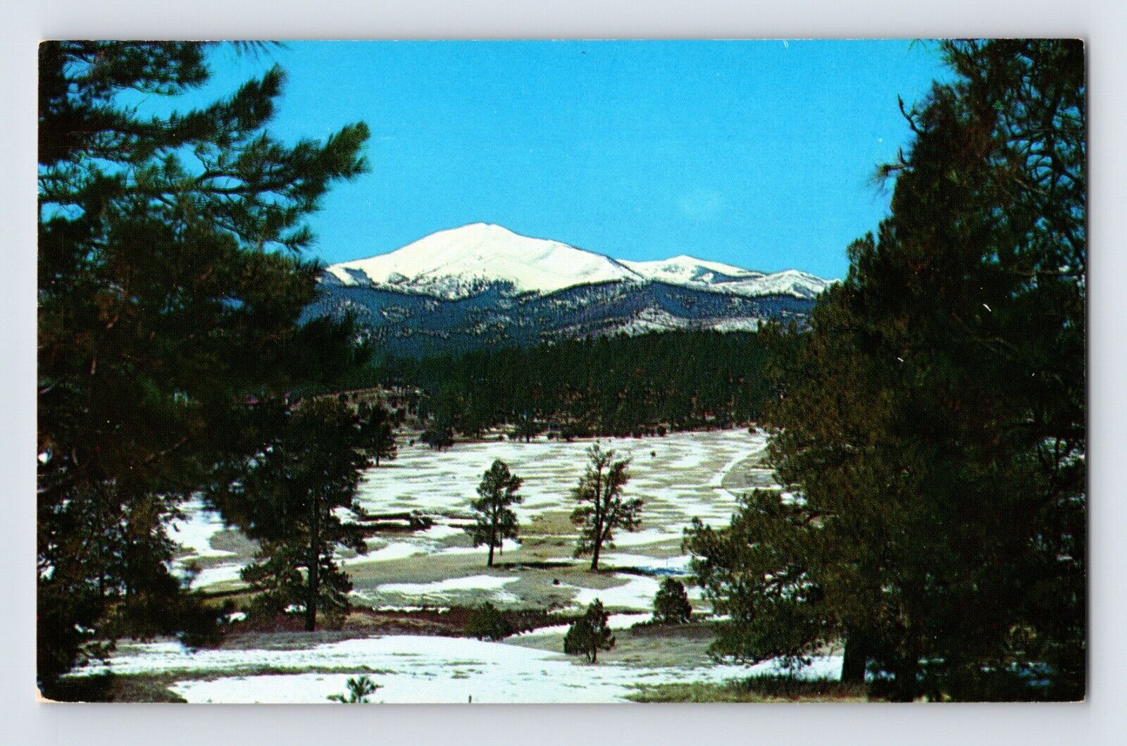 Postcard New Mexico Ruidoso NM Cree Meadows Golf Course Sierra Blanca 1960s