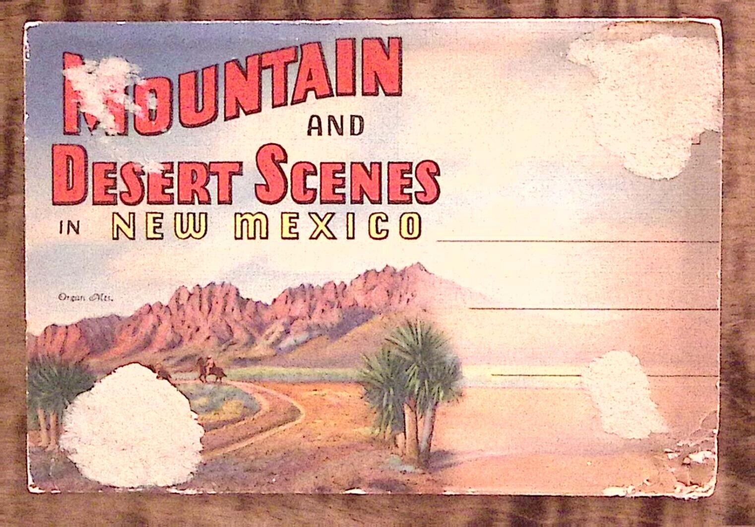 1930s NEW MEXICO MOUNTAIN AND DESERT SCENES FOLD OUT SOUVENIR POSTCARD Z3730