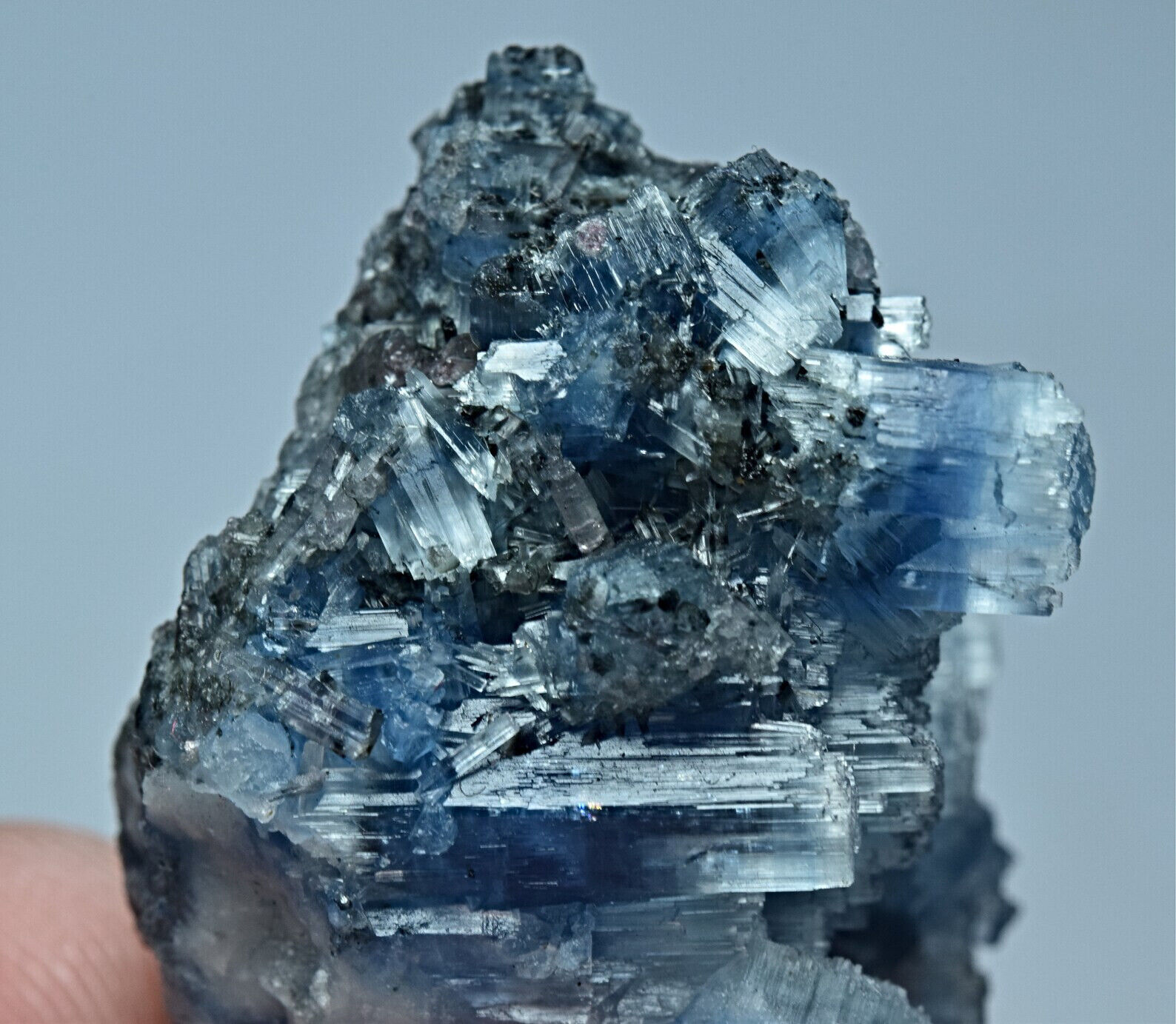 79 Carat Unusual Blue Vorobyevite Beryl Rosterite Crystal w/ Tourmaline & Quartz