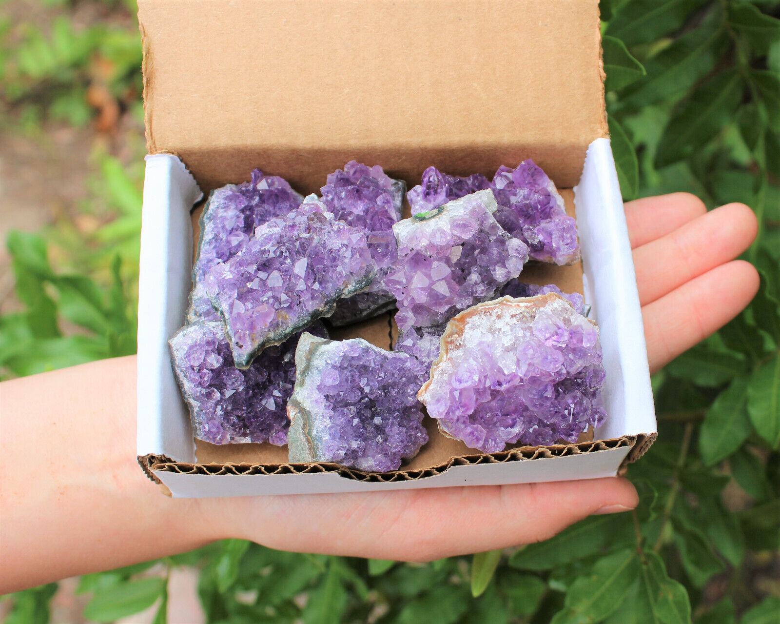 Natural Amethyst Cluster Druze Collection Box: 7 - 9 oz Box Lot, 6 - 10 Pieces