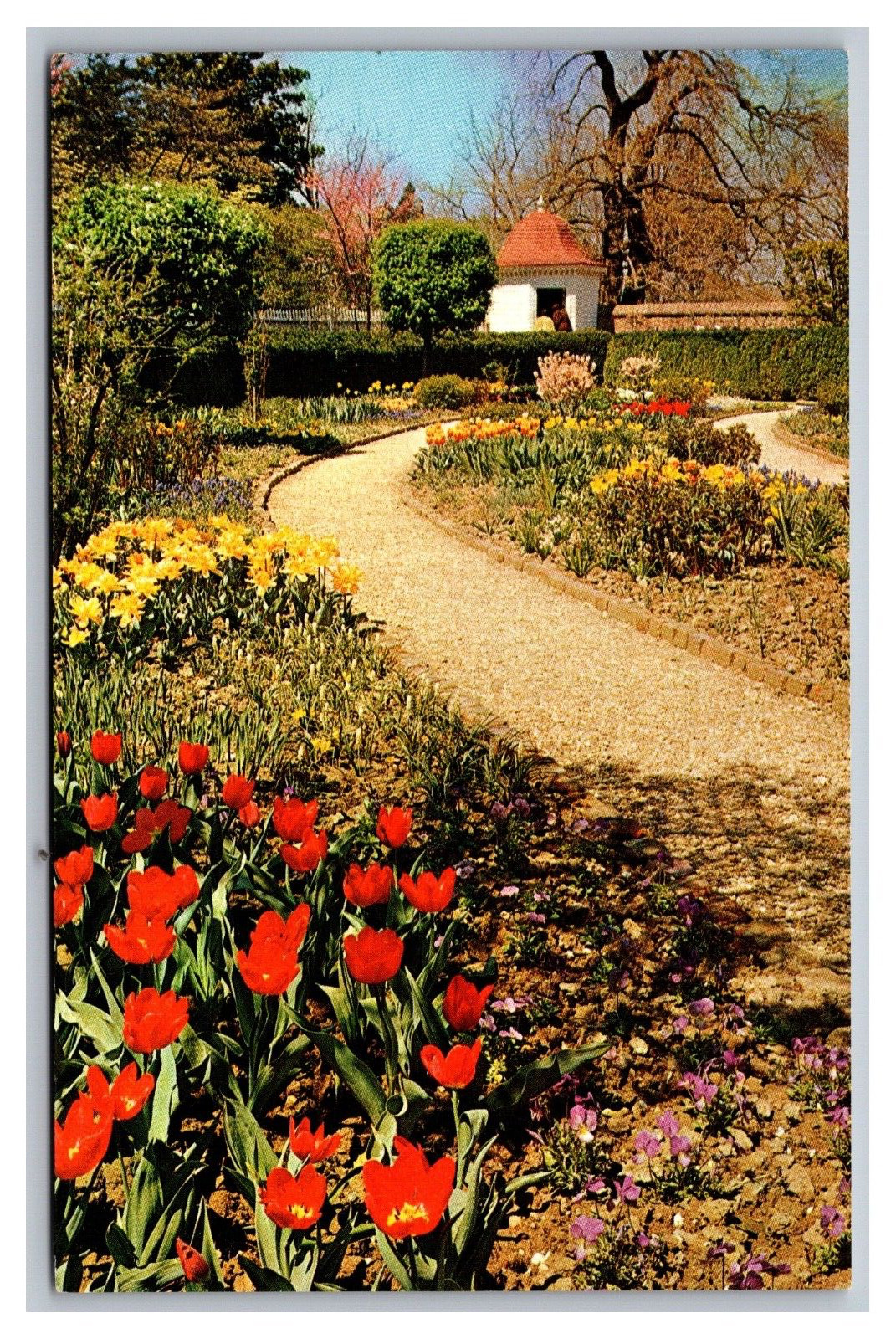 Mt. Vernon VA Mount Vernon\'s Formal Garden Washington\'s Home Chrome Postcard
