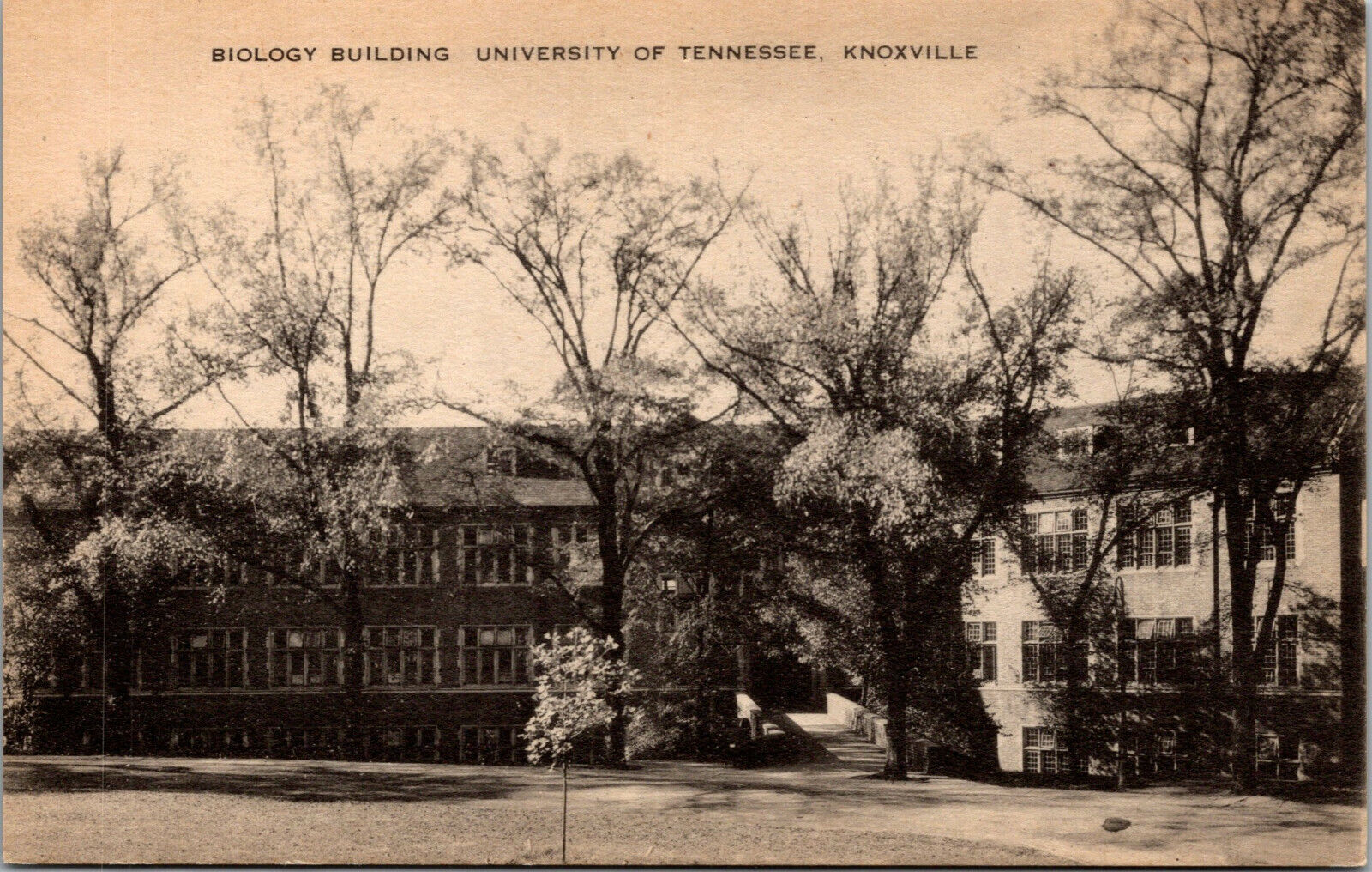 Vtg 1930\'s Biology Building University Of Tennessee Knoxville TN Postcard