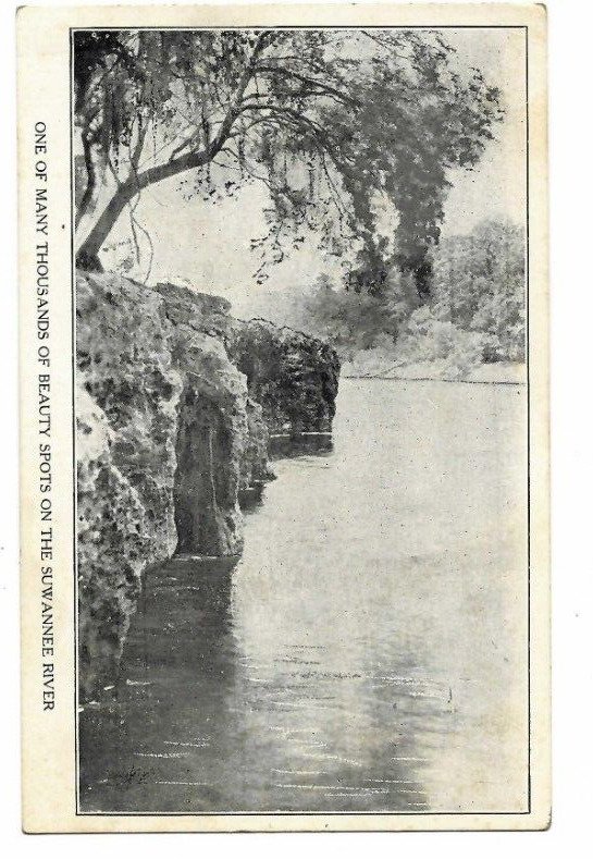 Postcard View of Suwannee River Live Oak Perry & the Gulf Railroad Co FL Florida