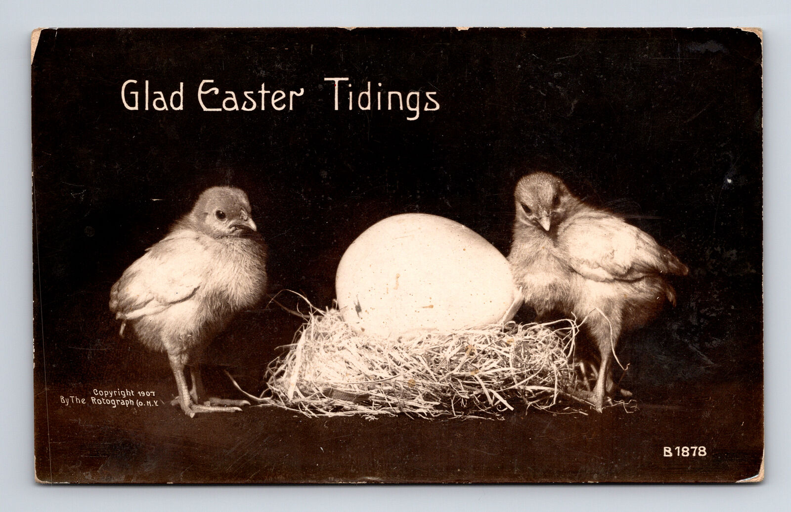 c1909 RPPC ROTOGRAPH Photo Glad Easter Tidings Chicks & Egg Postcard