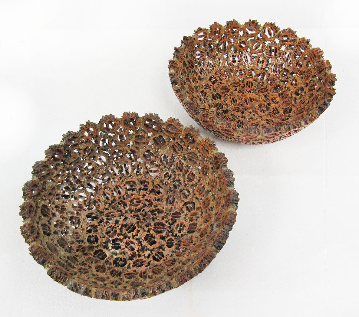 Awesome Vintage Pair Of Deep Walnut Shell Mid Century MCM Salad Serving Bowls