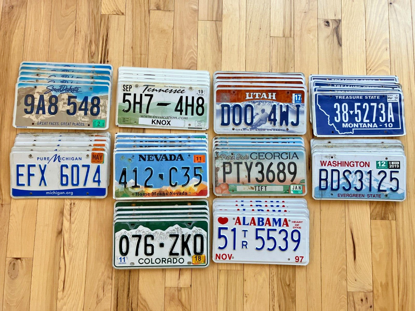 Bulk Lot of 50 License Plates from 10 Different States - 5 of Each State