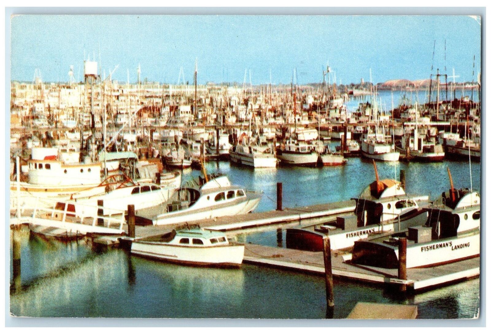 1956 Sportfishing Boats Scene Municipal Yacht Basin San Diego CA Posted Postcard