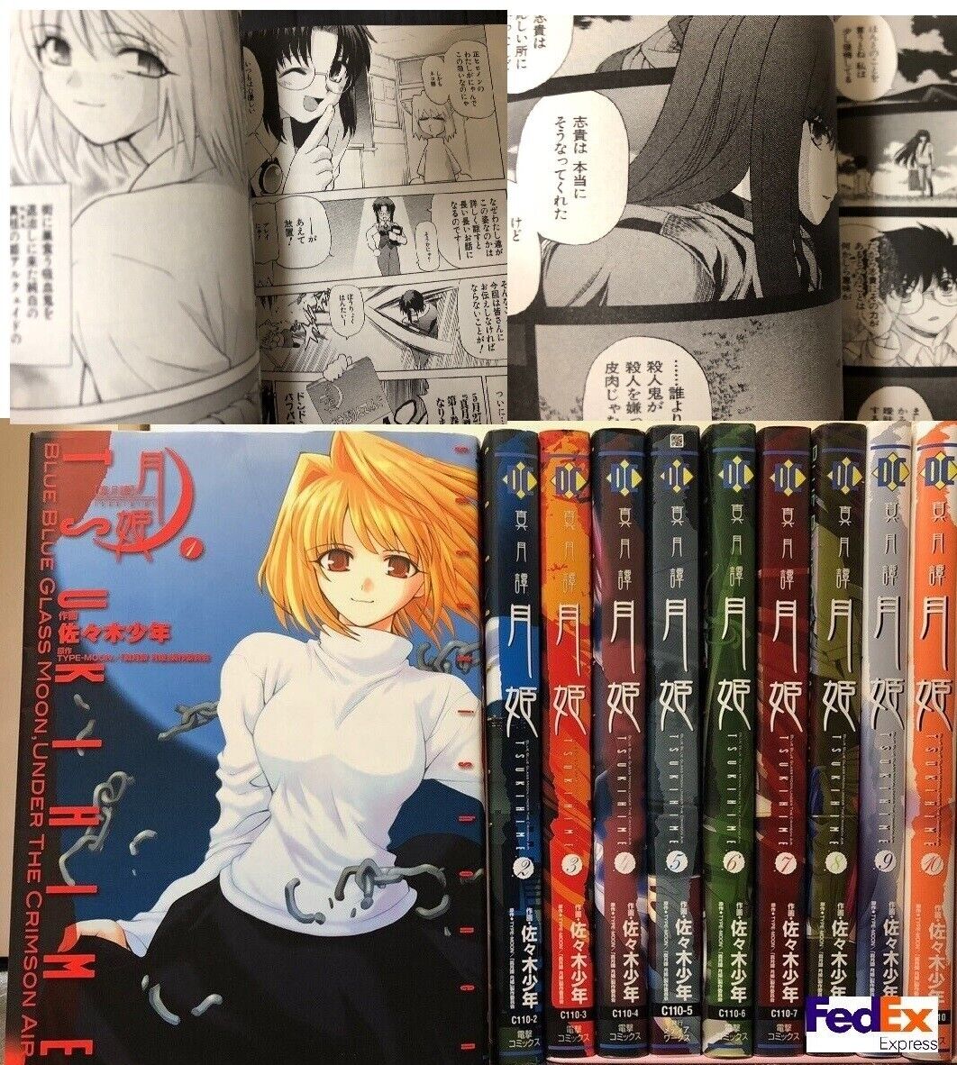 Lunar Legend Tsukihime Shingetsutan vol.1-10  set Complete Japanese Manga Comic