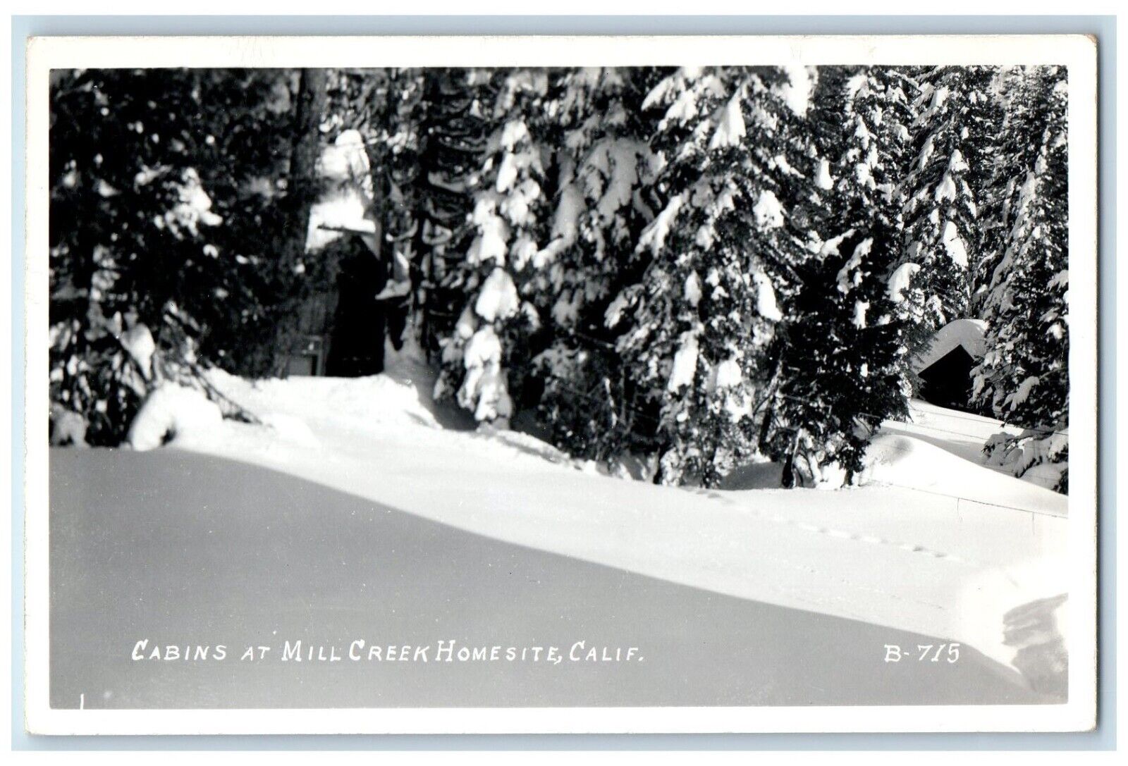Cabins At Mill Creek Homesite California CA, Winter Vintage RPPC Photo Postcard