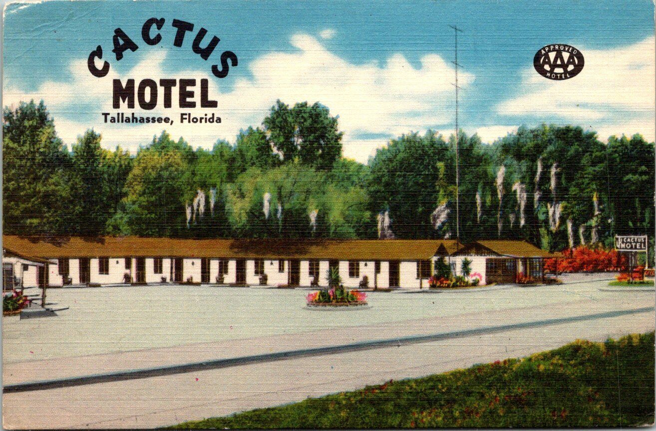 Vintage PPC - Cactus Motel, Tallahassee, Florida - F15602