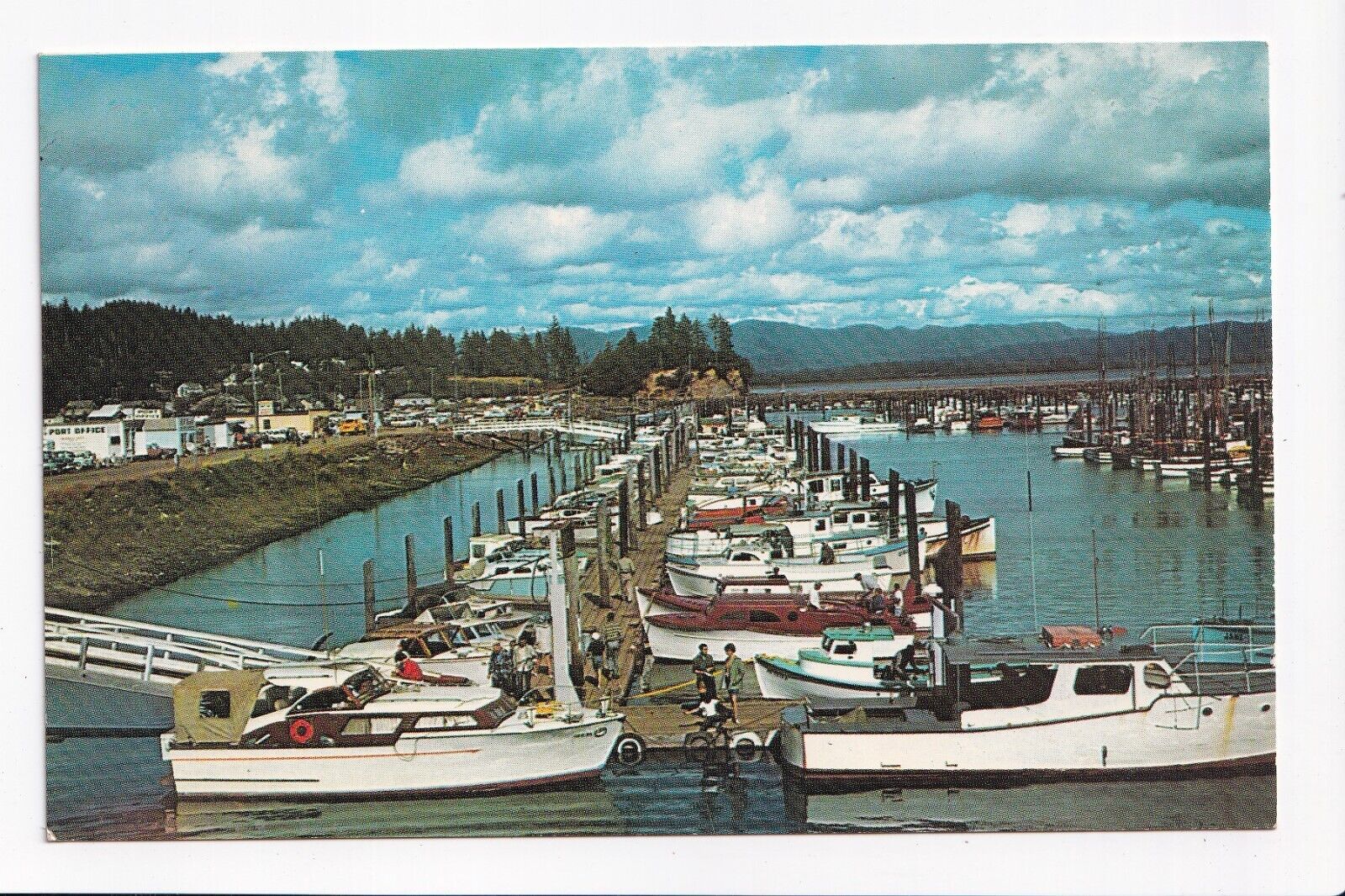 Vintage Postcard Mooring Basin at ILwaco Washington