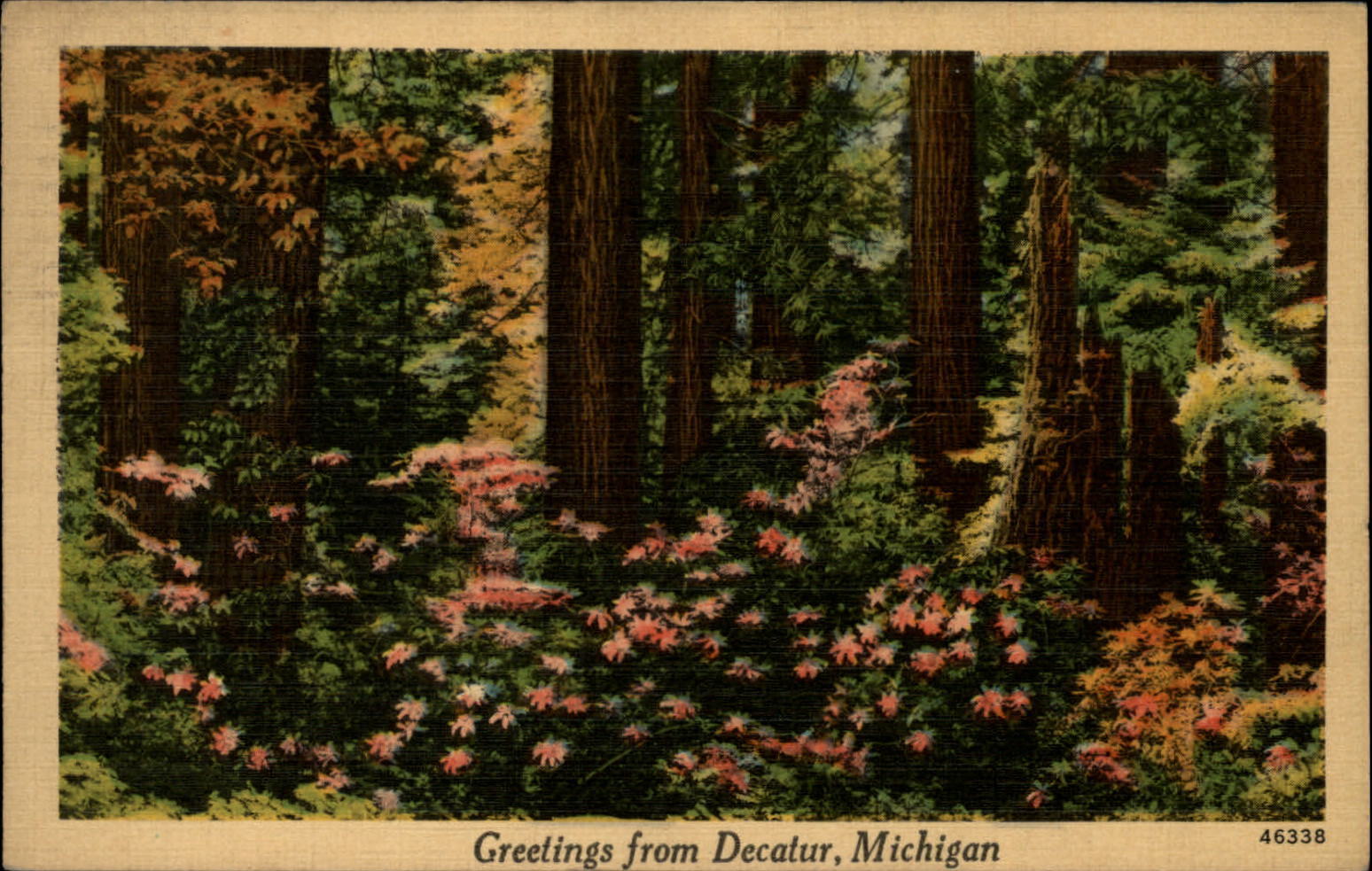 Michigan Decatur Greetings spring flowers woods ~ 1943 linen postcard  ~ s0085