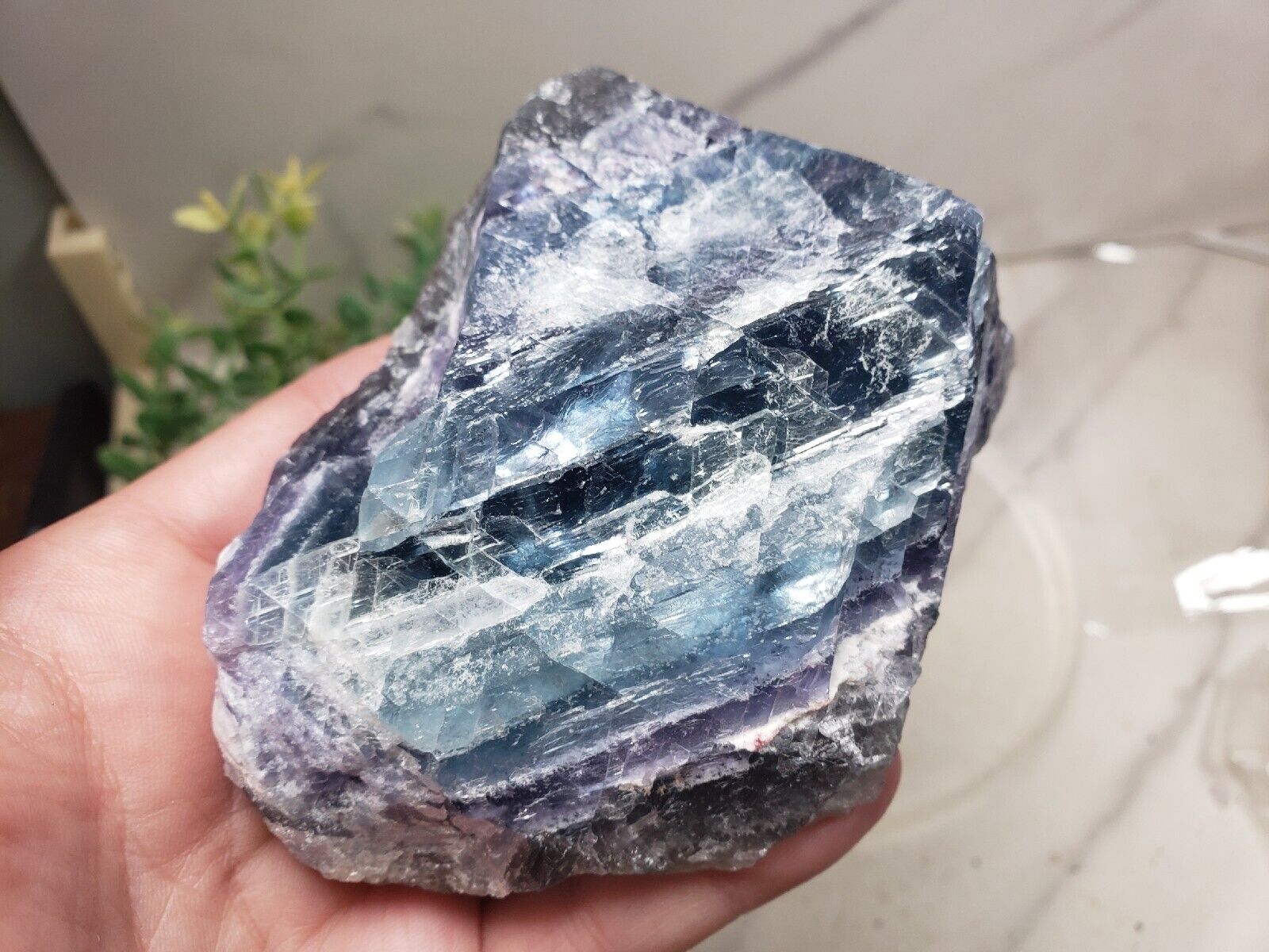 fluorite crystal Mexico 14.8oz Blue Purple Fluorite Specimen 3.7\