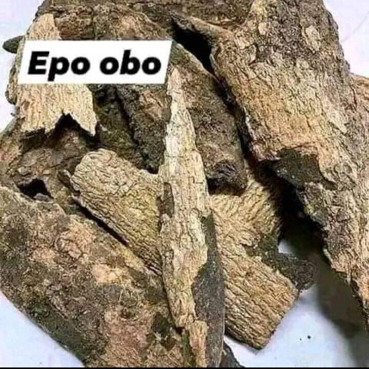 EPO OBO ROOT (Anti Witchcraft Herbs)  20gram