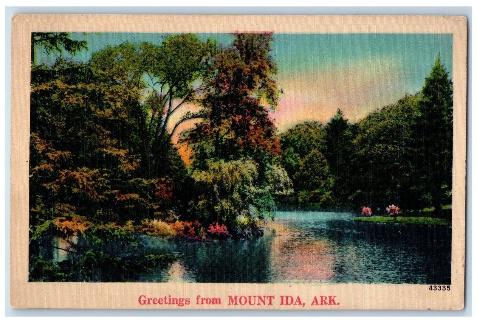c1940s Greetings From Mount Ida Tree Flowers Scene Arkansas AK Unposted Postcard