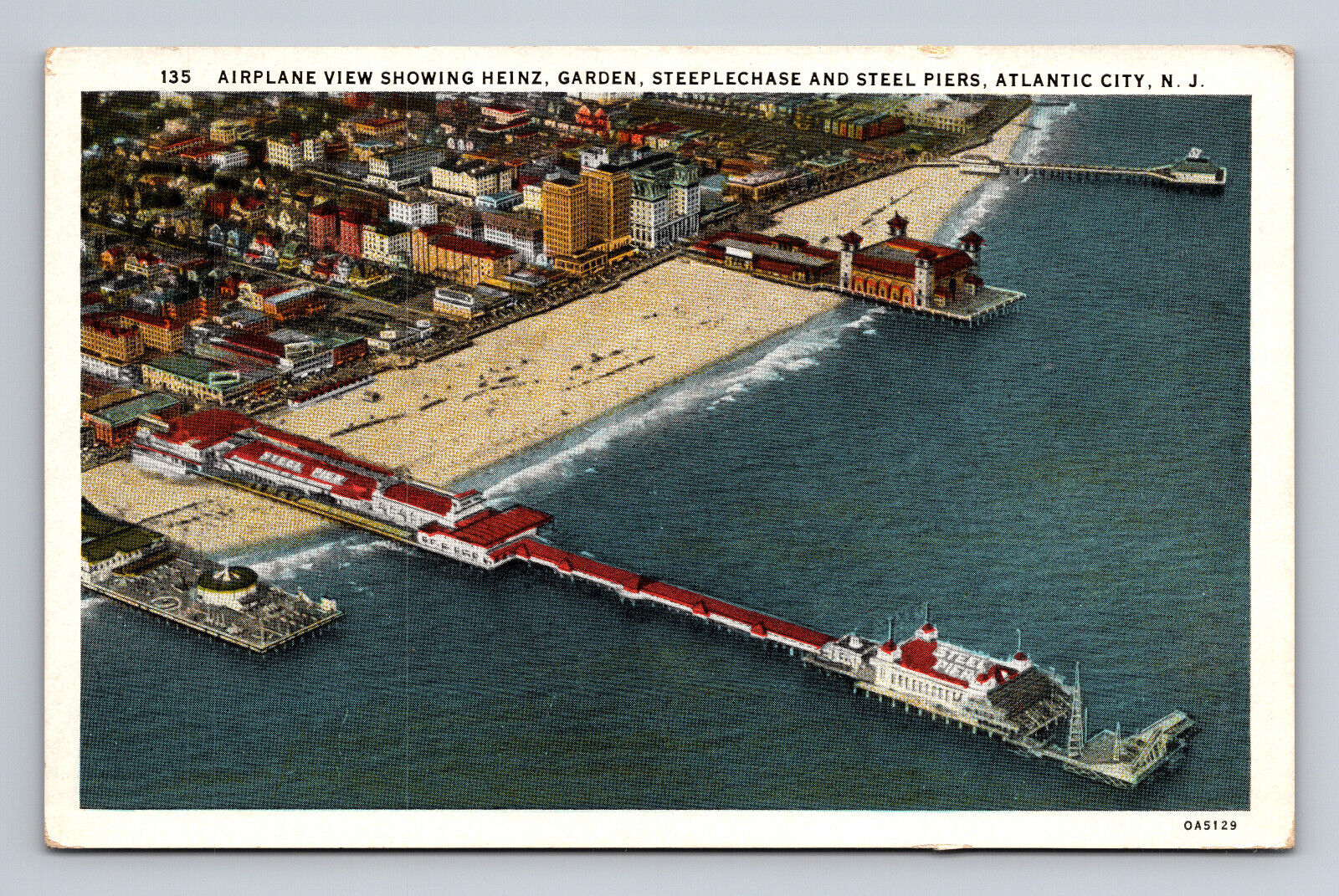 Airplane View Heinz Garden Steeplechase Steel Pier Atlantic City NJ Postcard