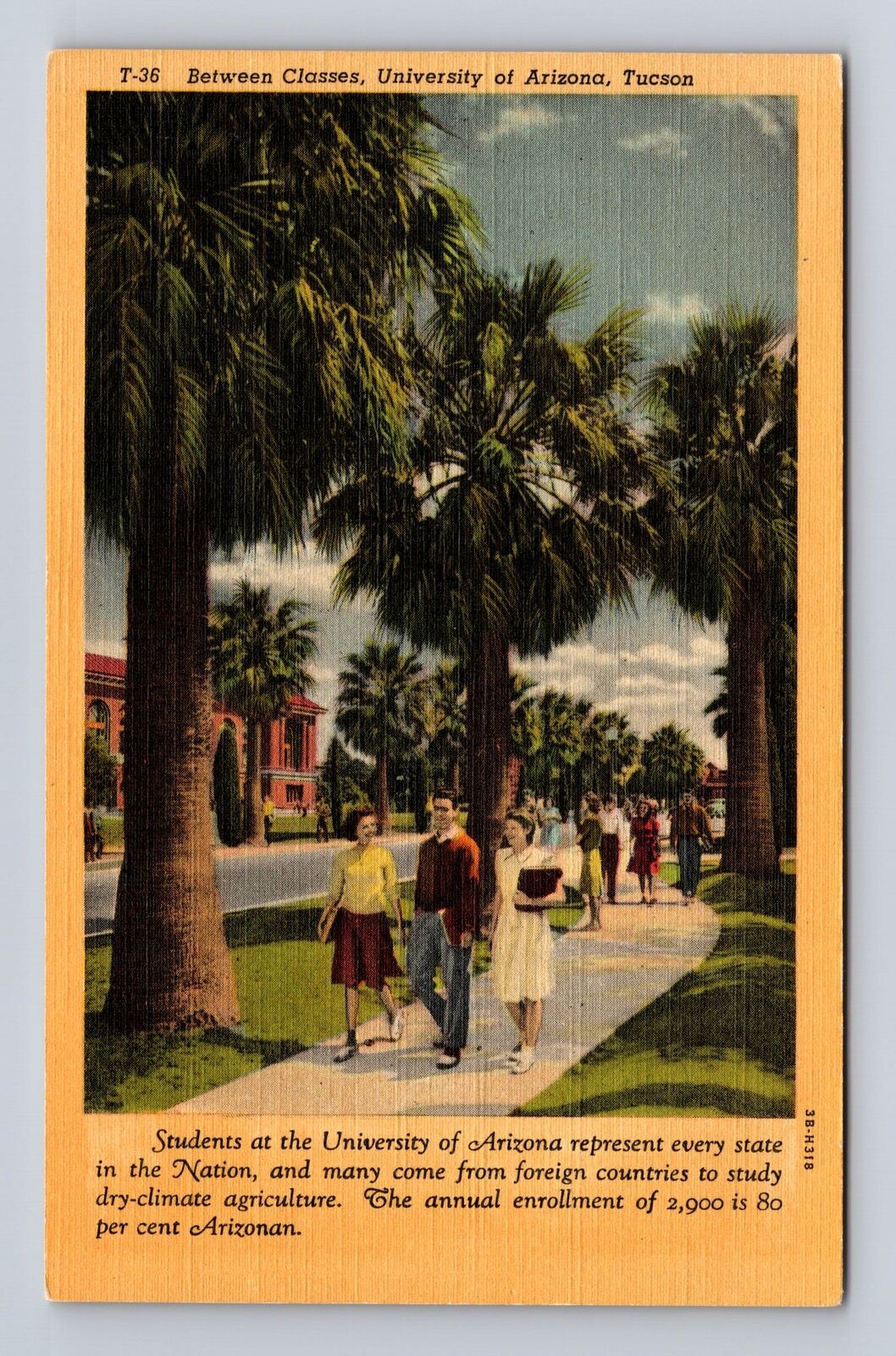 Tucson AZ-Arizona, Classes, University, Antique, Vintage Souvenir Postcard