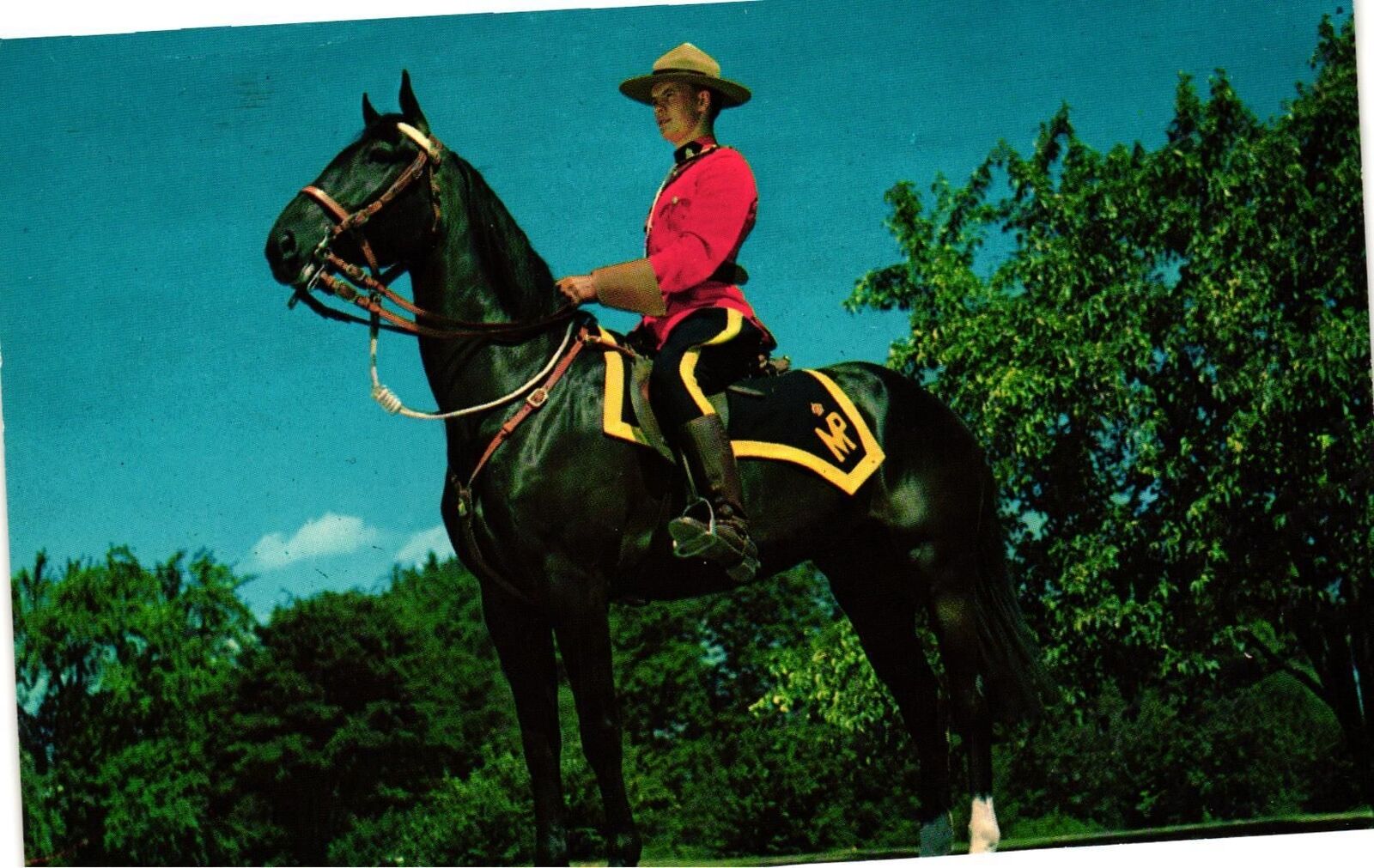 Vintage Postcard- Royal Canadian Mounted Police