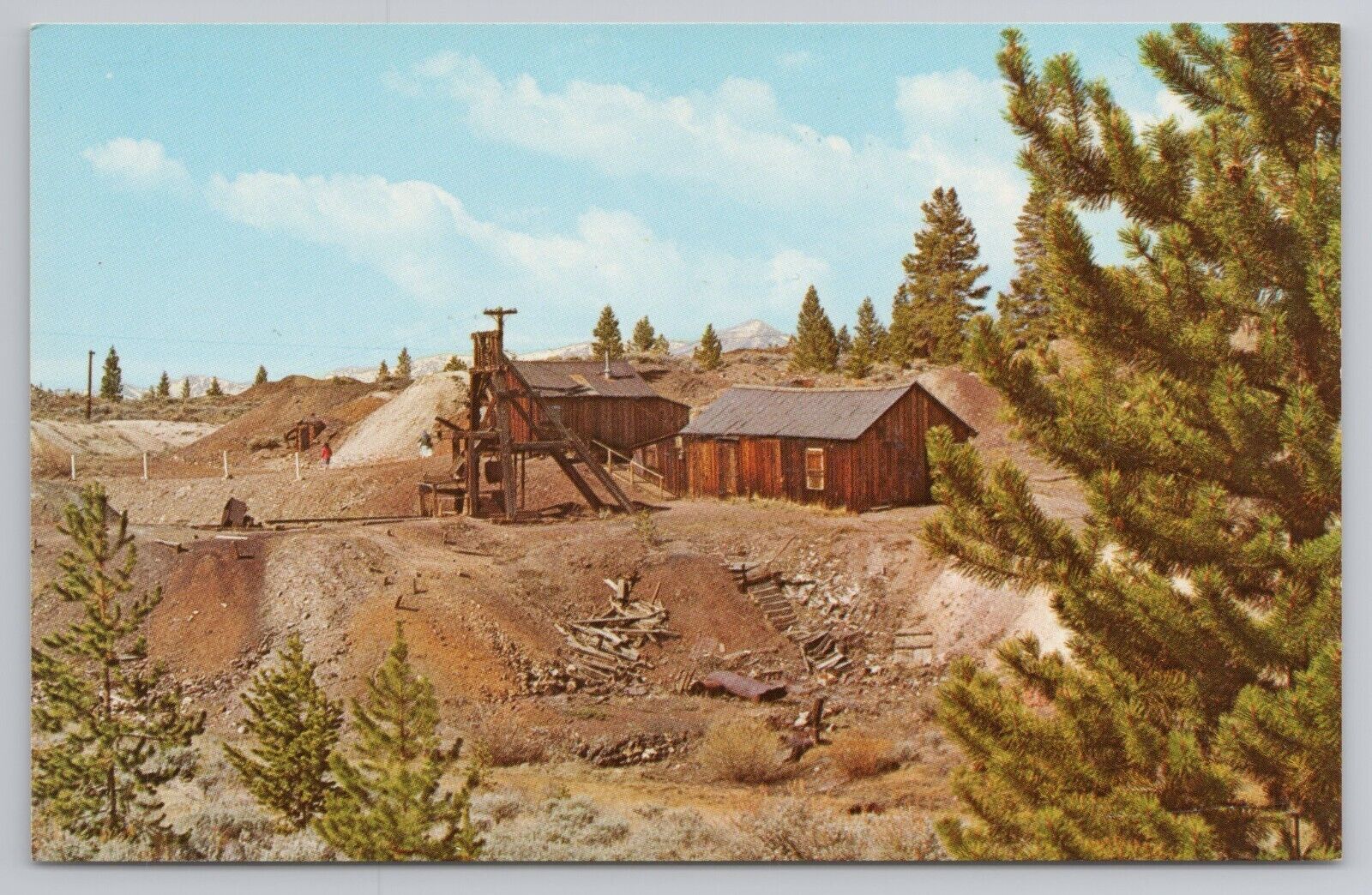 Leadville Colorado Tabor\'s Matchless Mine Historic Early 20th Century Postcard