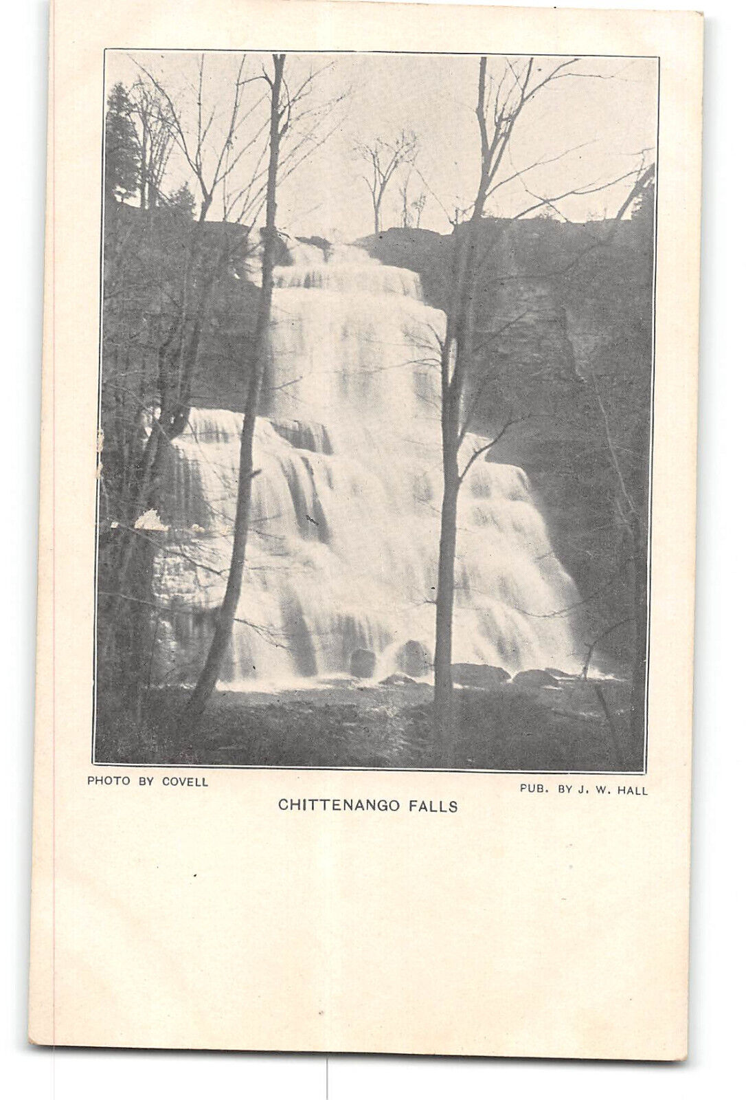 Cazenovia New York NY Postcard 1901-1907 Chittenango Falls