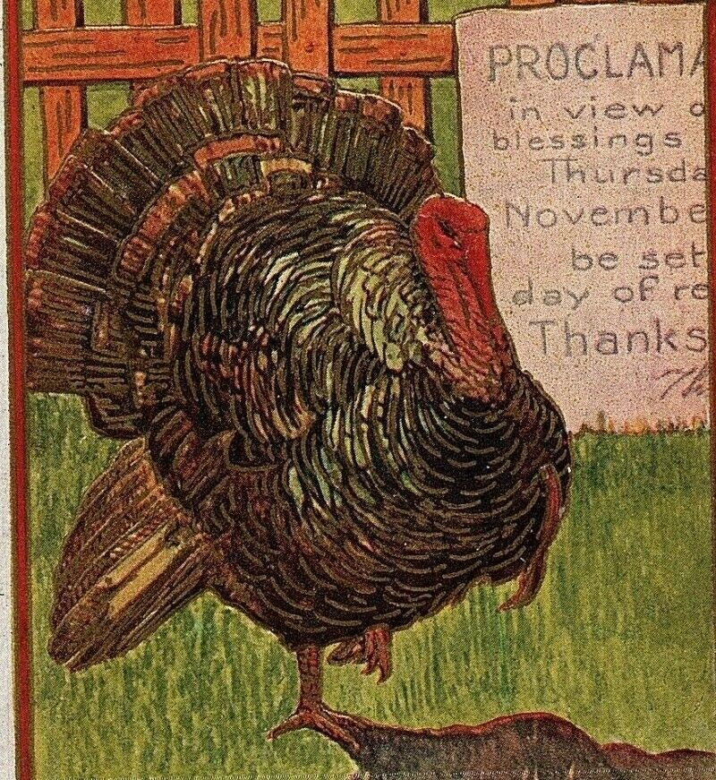 c1909 Thanksgiving Turkey Postcard Vtg Fence Farm Sign Proclamation Gold Trim