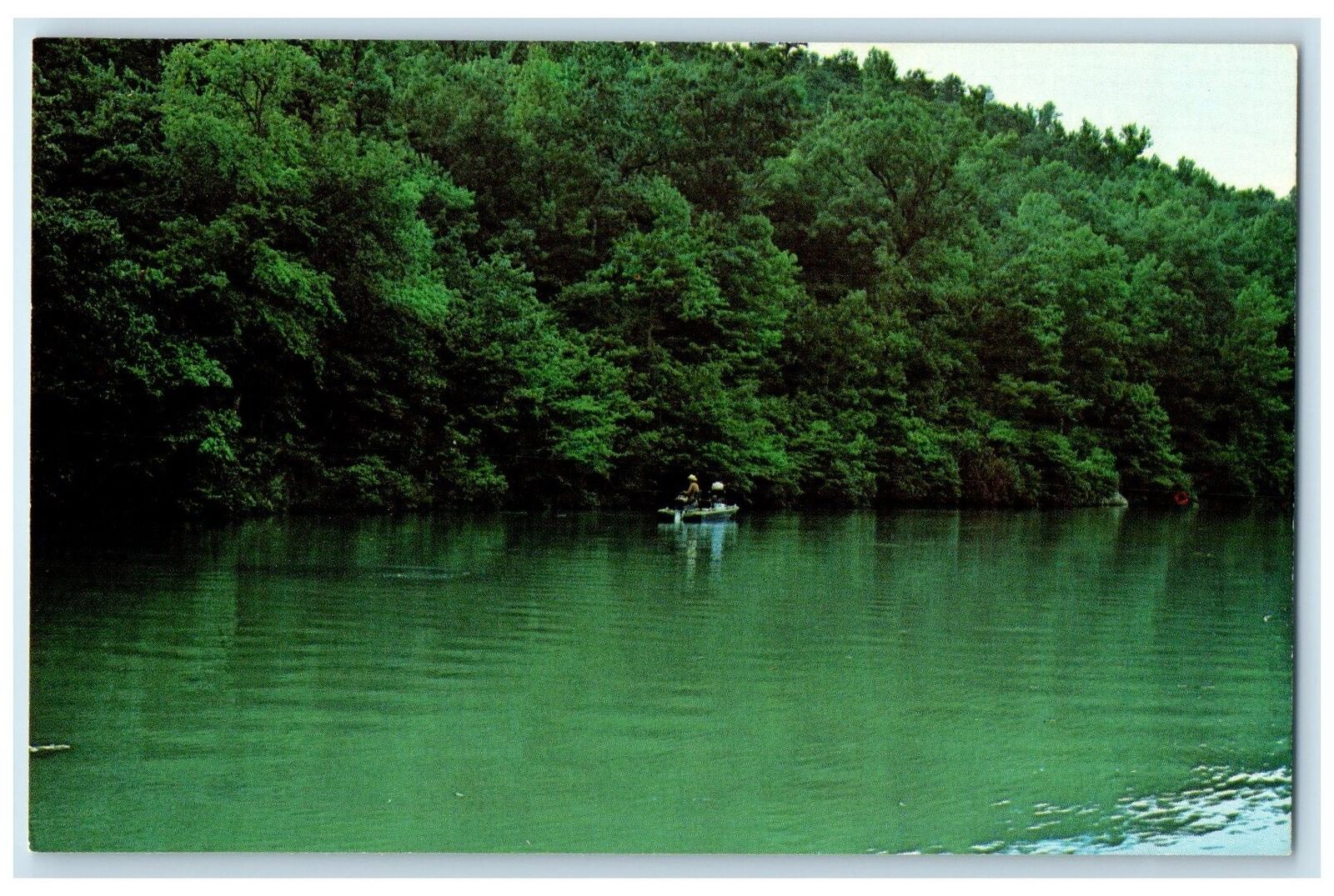 c1960\'s Mill Creek Road Fishing Russellville Arkansas AR Unposted Trees Postcard