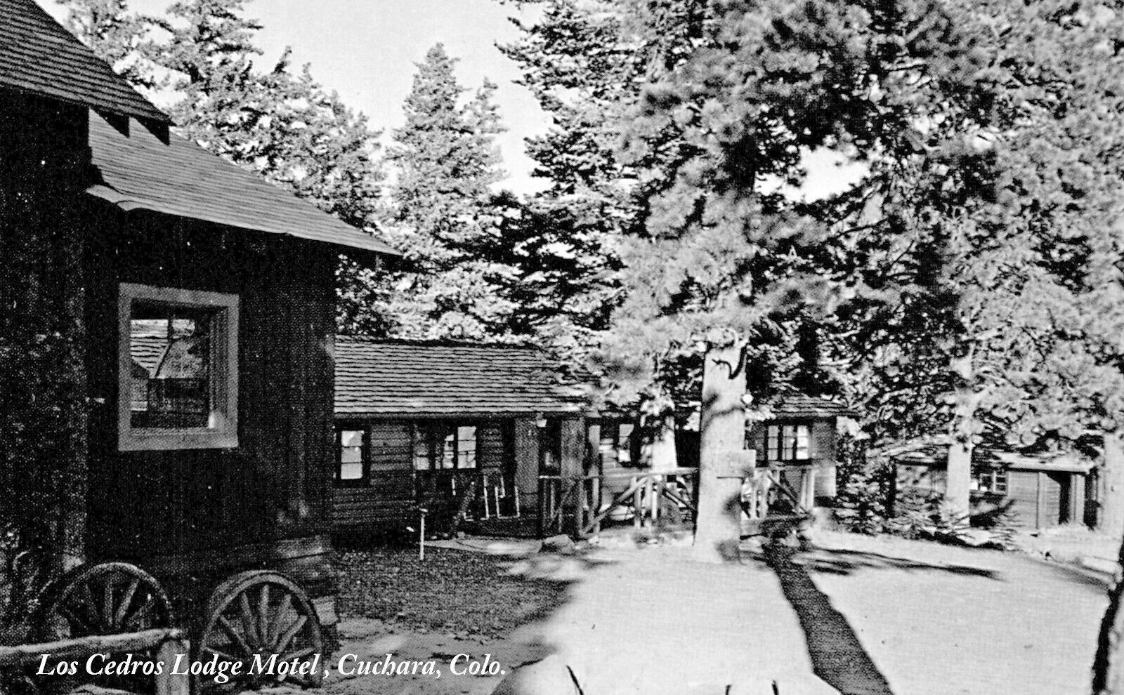 Postcard Cuchara Colorado Los Cedros Lodge-Motel On Hwy 111, Reprint #86556