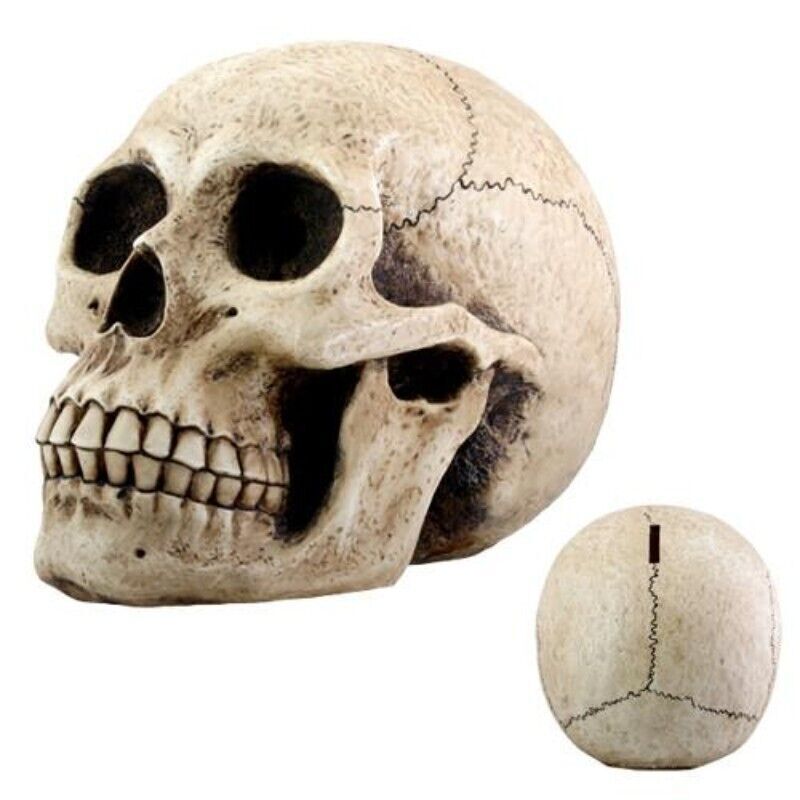 PT Pacific Trading Skull Money and Coin Piggy Bank