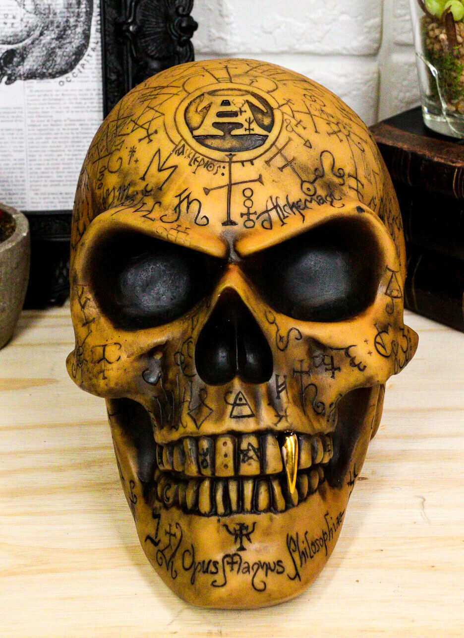Ebros Alchemy Alpha Omega Ancient Mystical Symbols Skull Sharp Canine Figurine