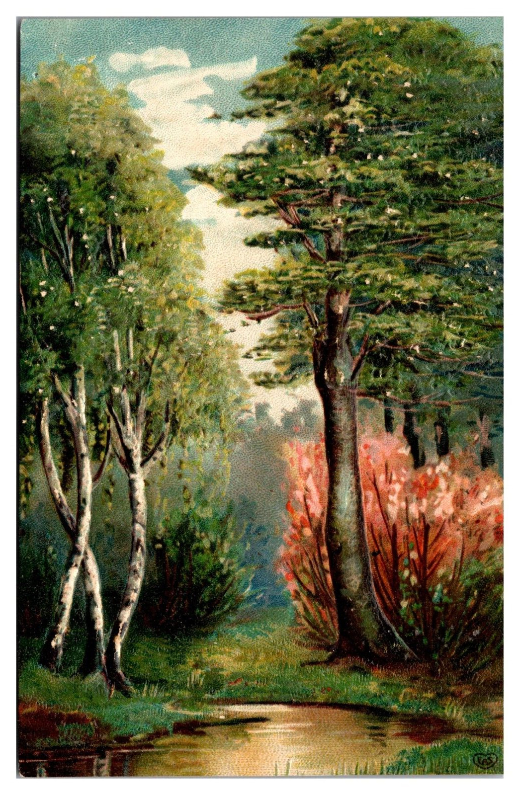 Antique Embossed Forest Scene, Landscape, Postcard