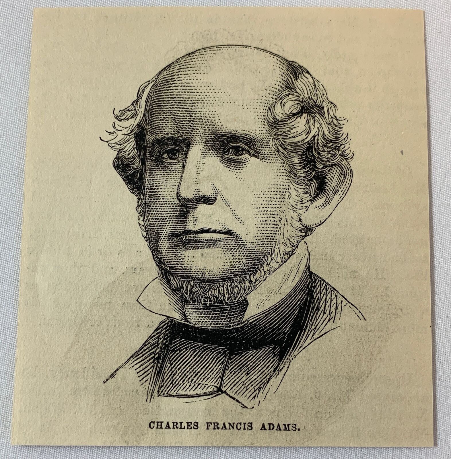 1882 magazine engraving ~ CHARLES FRANCIS ADAMS politician, US House