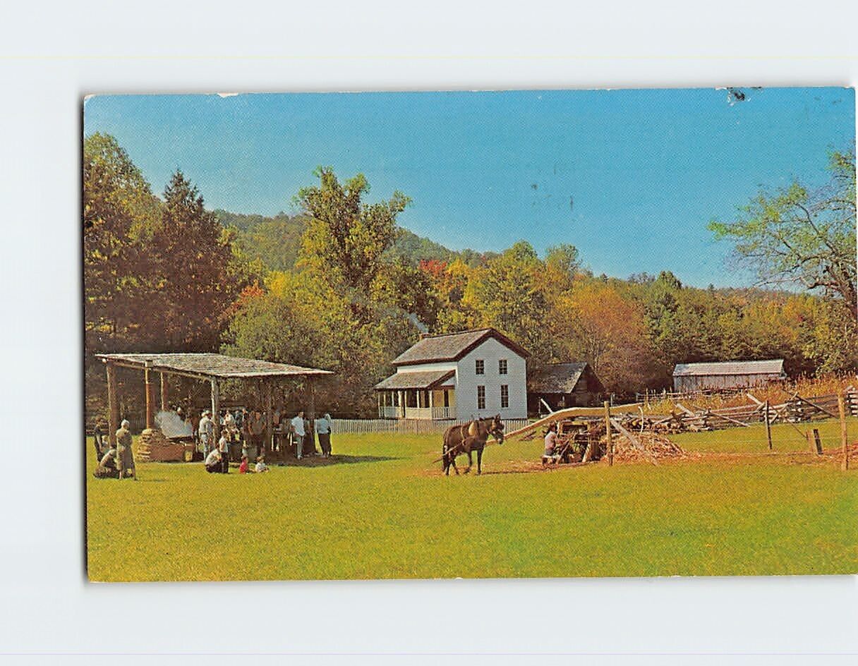 Postcard Making Sorghum Molasses Tennessee USA