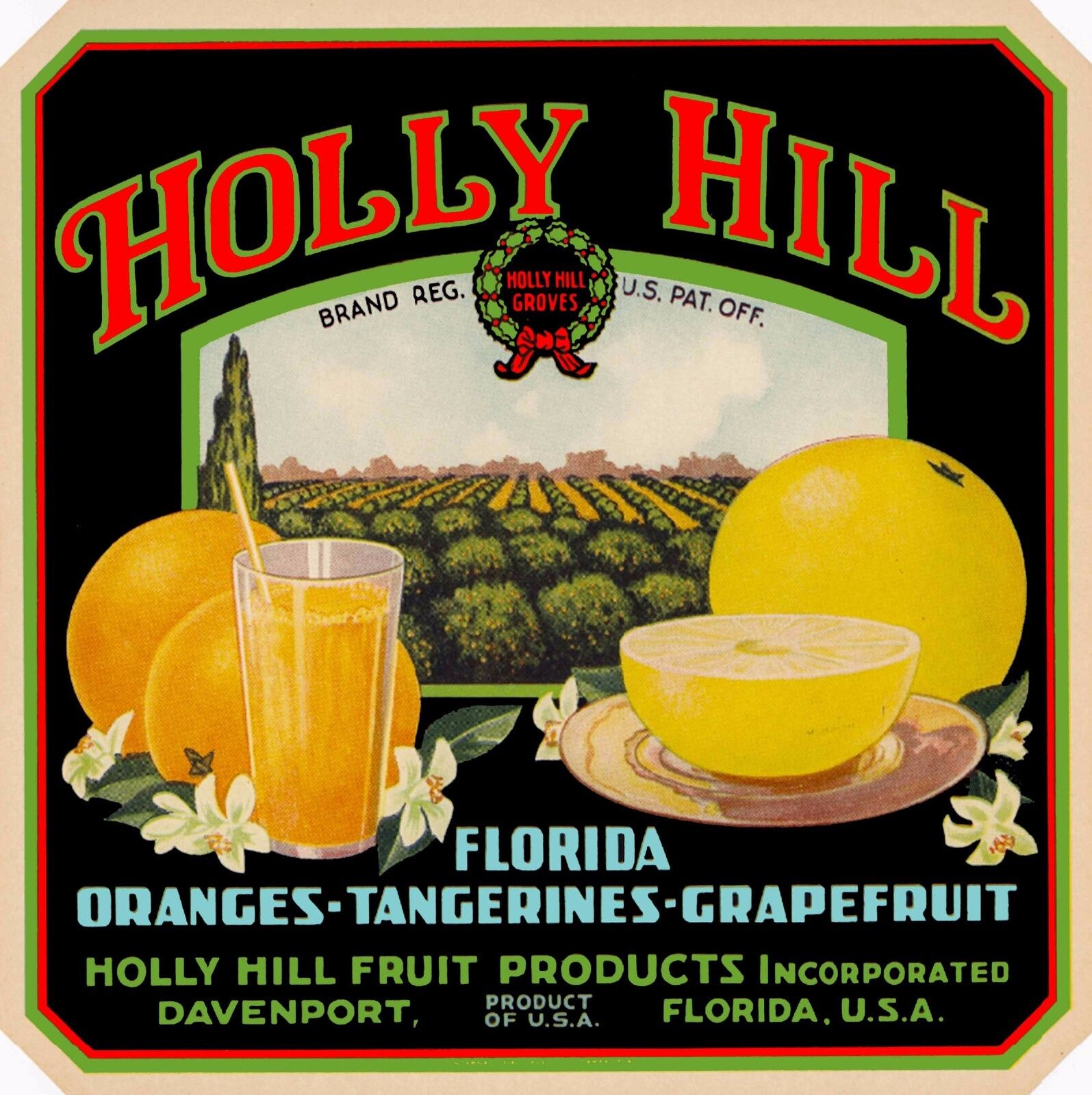 Davenport Florida Holly Hill Brand Orange Oranges Citrus Fruit Crate Label Print
