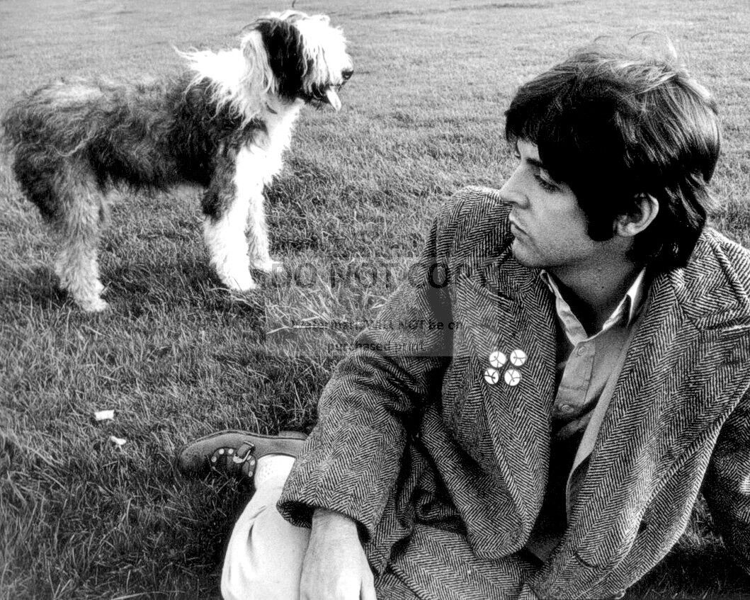 PAUL McCARTNEY WITH HIS BELOVED ENGLISH SHEEPDOG \